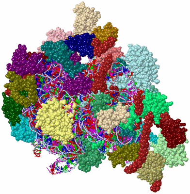 Image Asym./Biol. Unit