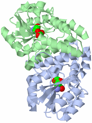 Image Asym./Biol. Unit