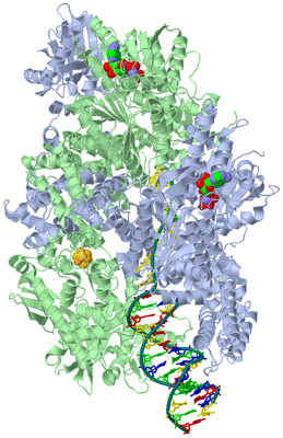 Image Asym./Biol. Unit