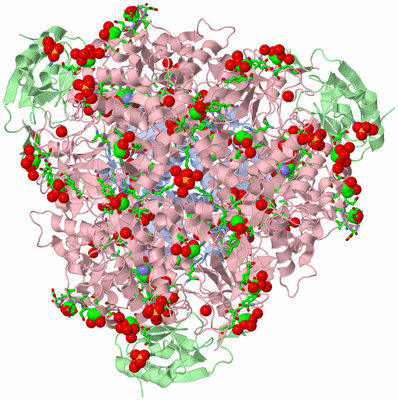 Image Biol. Unit 1 - sites