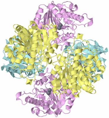 Image Biological Unit 2