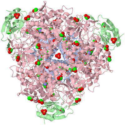 Image Biological Unit 1