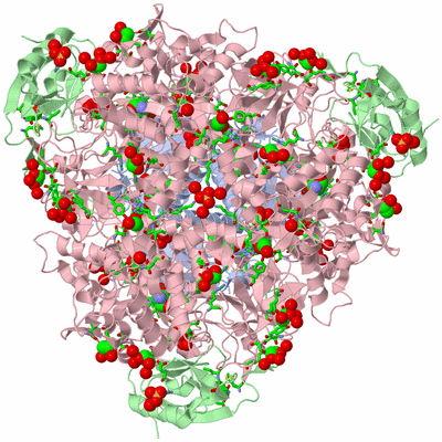 Image Biol. Unit 1 - sites