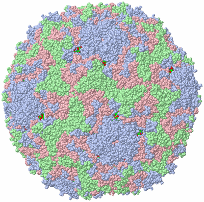 Image Biol. Unit 1 - sites