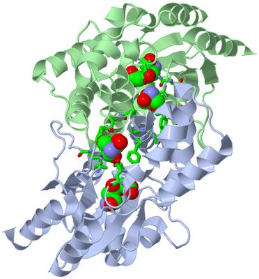 Image Biol. Unit 1 - sites