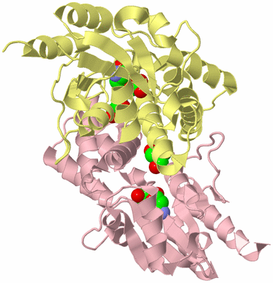 Image Biological Unit 2