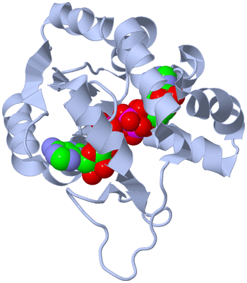 Image Biological Unit 1