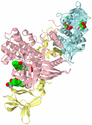 Image Biological Unit 1