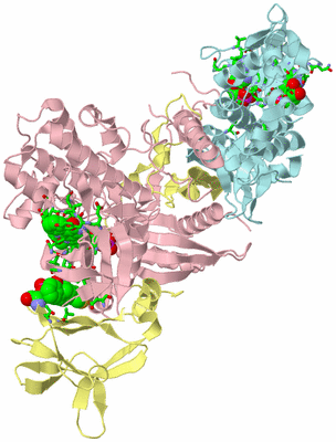 Image Biol. Unit 1 - sites