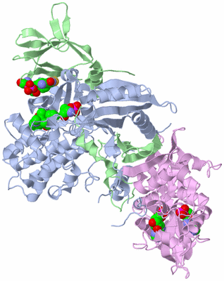 Image Biological Unit 2