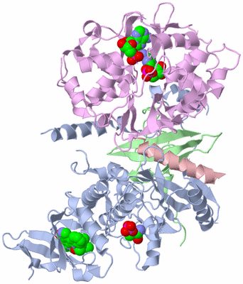 Image Asym./Biol. Unit