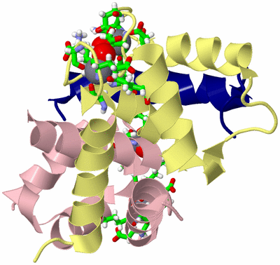 Image Biol. Unit 1 - sites