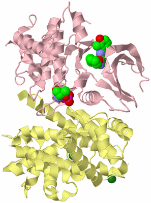 Image Biological Unit 1