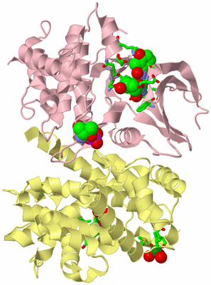 Image Biol. Unit 1 - sites