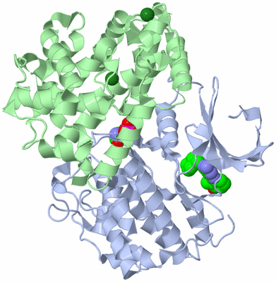 Image Biological Unit 2