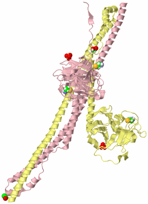 Image Biological Unit 2