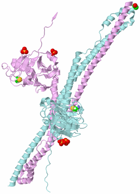 Image Biological Unit 3