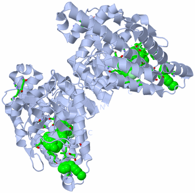 Image Biol. Unit 1 - sites