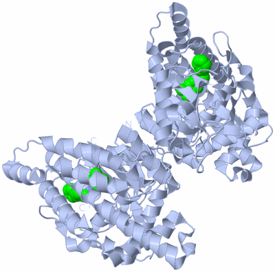 Image Biological Unit 1