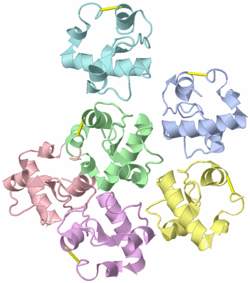 Image Asymmetric Unit