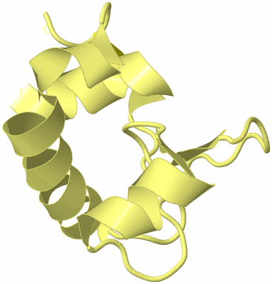 Image Biological Unit 4