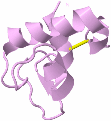 Image Biological Unit 5