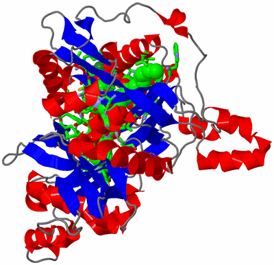 Image Asym./Biol. Unit - sites