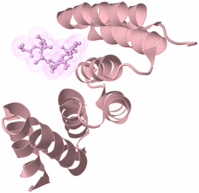 Image Biological Unit 3