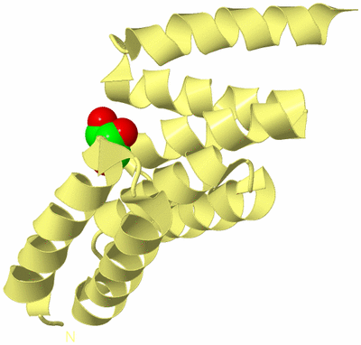 Image Biological Unit 4