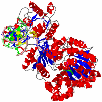 Image Asym./Biol. Unit