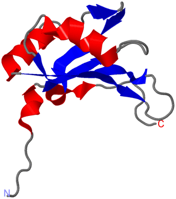 Image NMR Structure - model 1