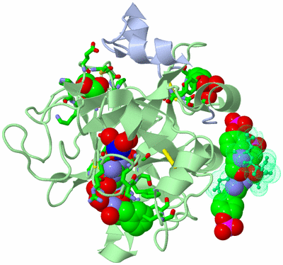 Image Biol. Unit 1 - sites