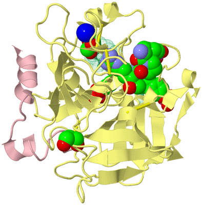 Image Biological Unit 2