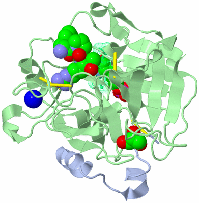 Image Biological Unit 1