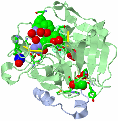 Image Biol. Unit 1 - sites