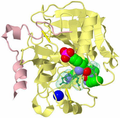 Image Biological Unit 2