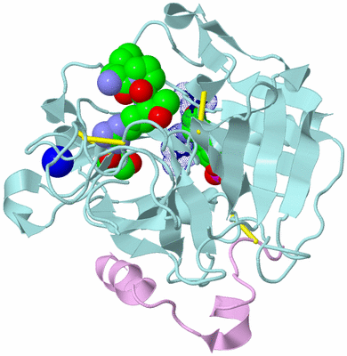 Image Biological Unit 3