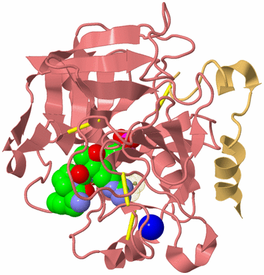 Image Biological Unit 4