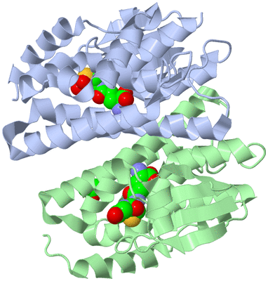 Image Asym./Biol. Unit