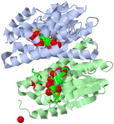 Image Asym./Biol. Unit - sites