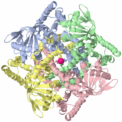 Image Asym./Biol. Unit