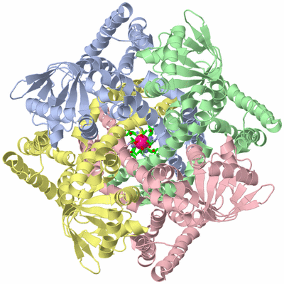 Image Asym./Biol. Unit - sites