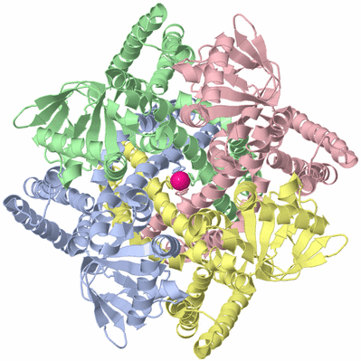 Image Asym./Biol. Unit