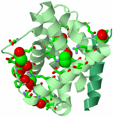 Image Biol. Unit 1 - sites