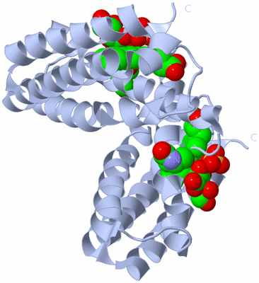 Image Biological Unit 1