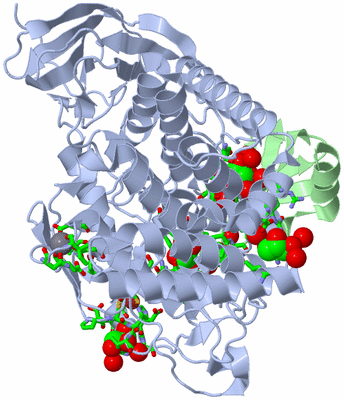 Image Asym./Biol. Unit - sites