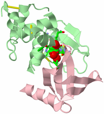 Image Biol. Unit 1 - sites