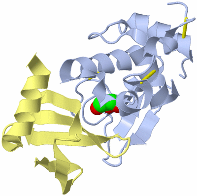 Image Biological Unit 2