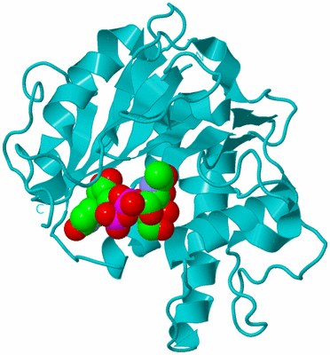 Image Biological Unit 10