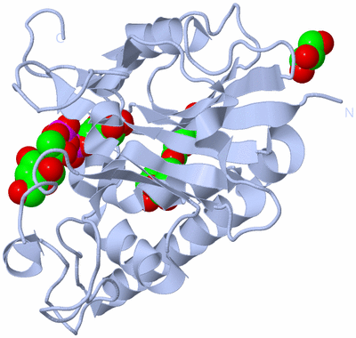 Image Biological Unit 11